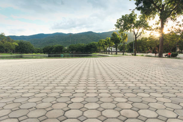Best Driveway Pavers Installation  in Clemson, SC